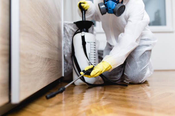 Best Rat Extermination Near Me  in Tomball, TX