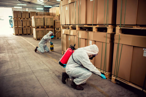 Wasp Removal Services in Tomball, TX