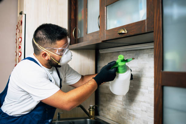 Best Commercial Pest Control Services  in Tomball, TX