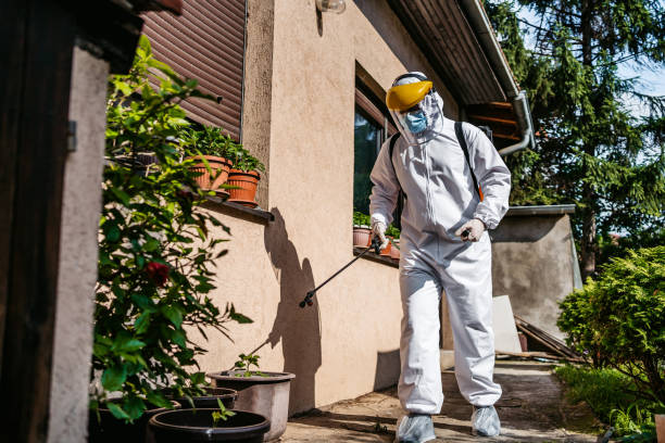 Best Pest Removal Services  in Tomball, TX