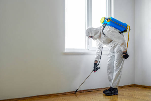 Best Wildlife Control Services  in Tomball, TX