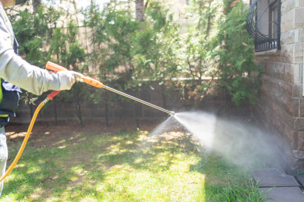 Best Residential Pest Control  in Tomball, TX