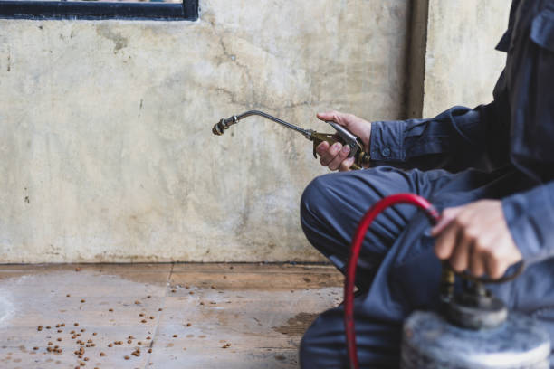 Trusted Tomball, TX Pest Control Experts